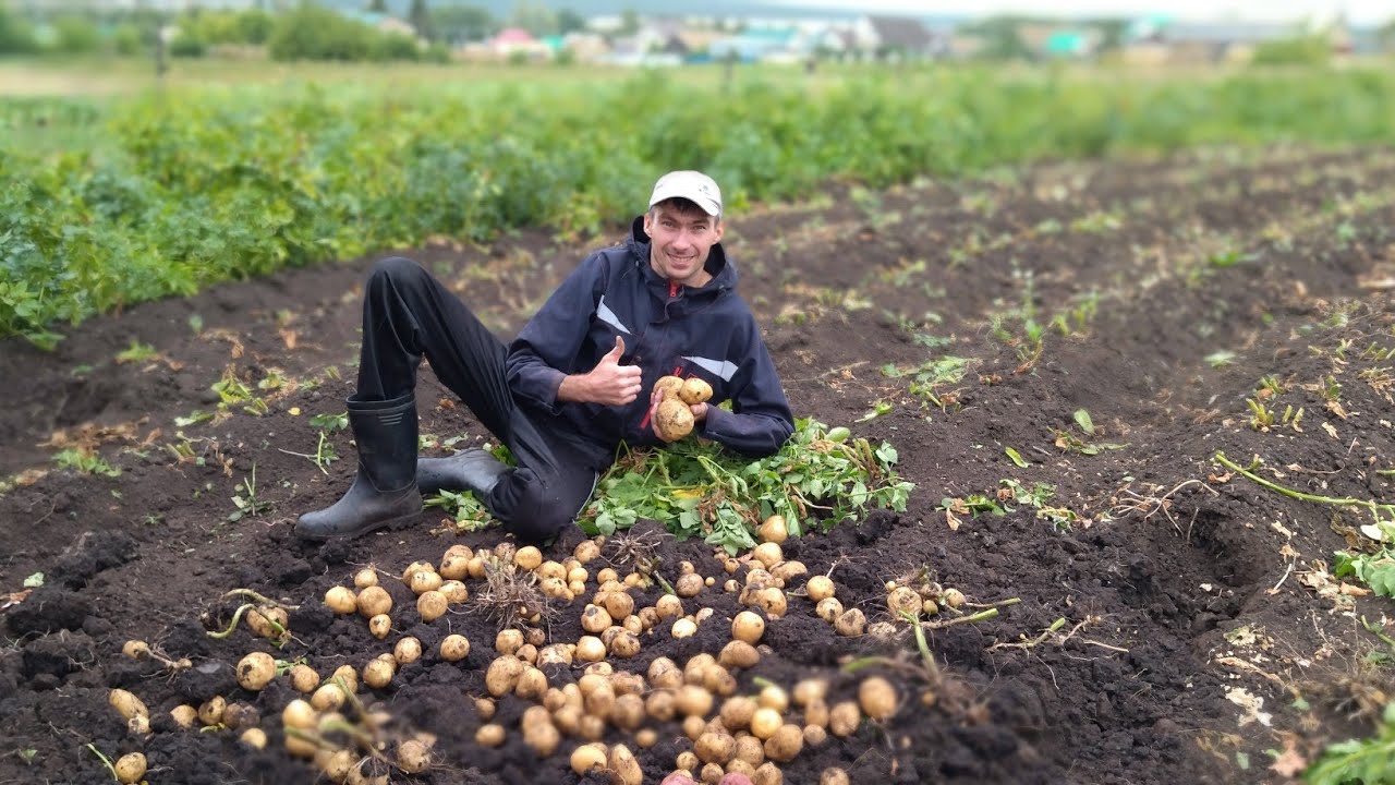 Заголовок